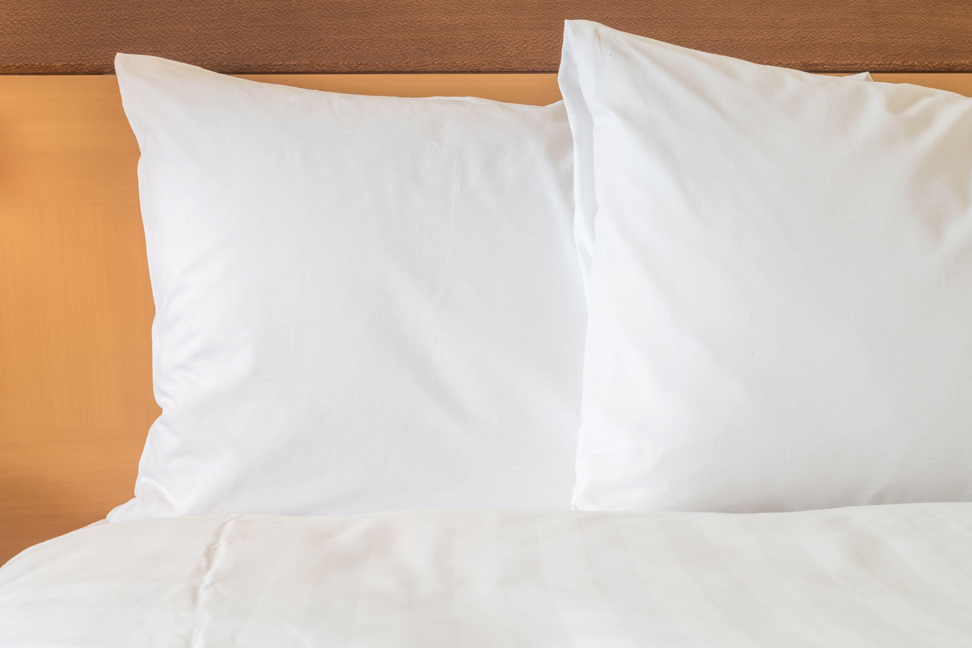 Holiday Inn Express Hotel & Suites Elgin By Ihg Extérieur photo